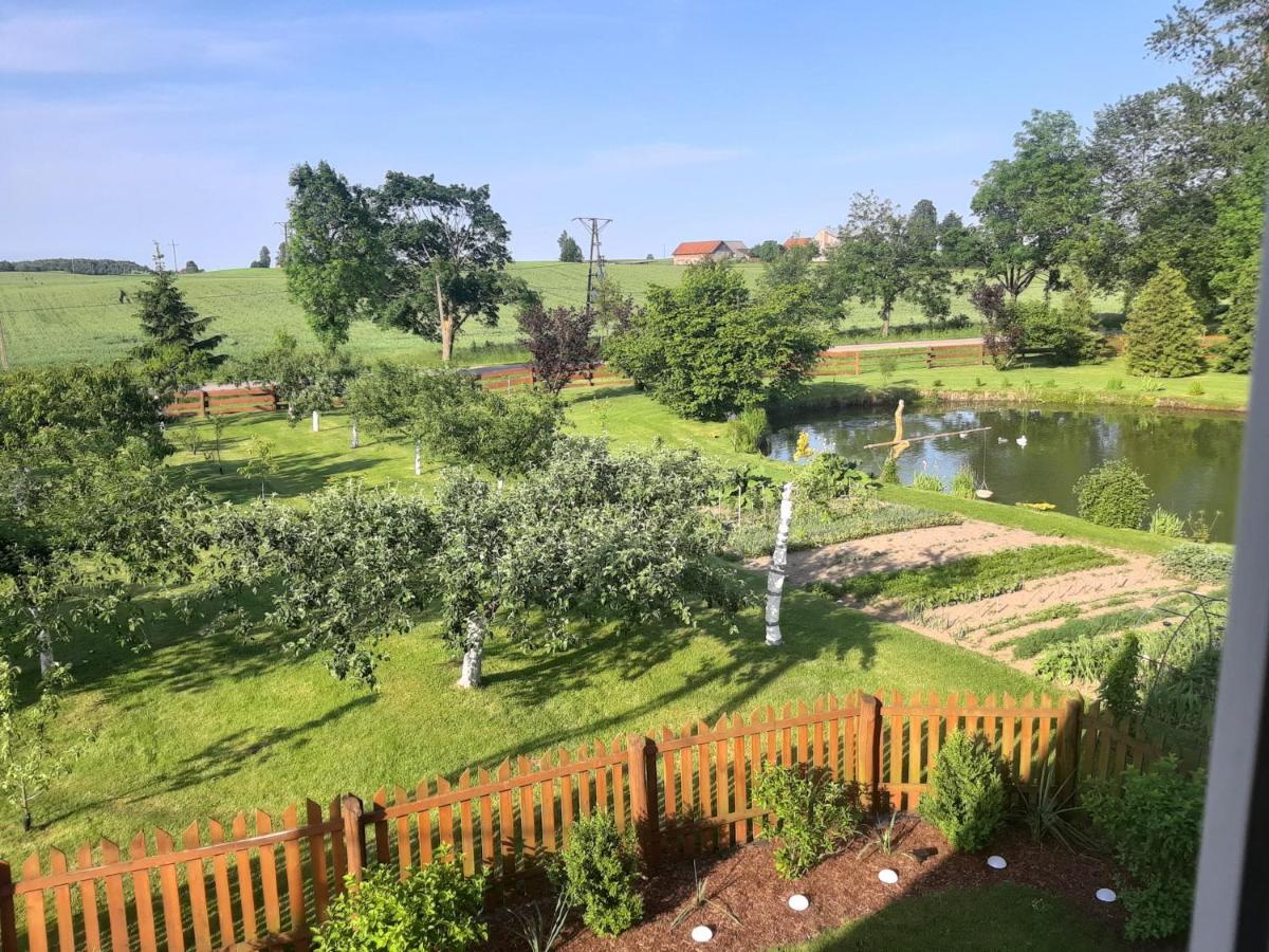Agroturystyka Nad Stawem Mazuchowka 维德米内 外观 照片